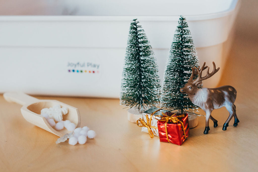 Christmas Play Kit
