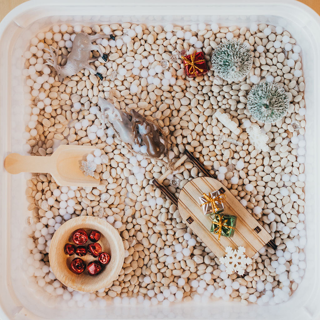 Christmas Play Kit